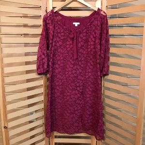 Garnet Hill lace dress
